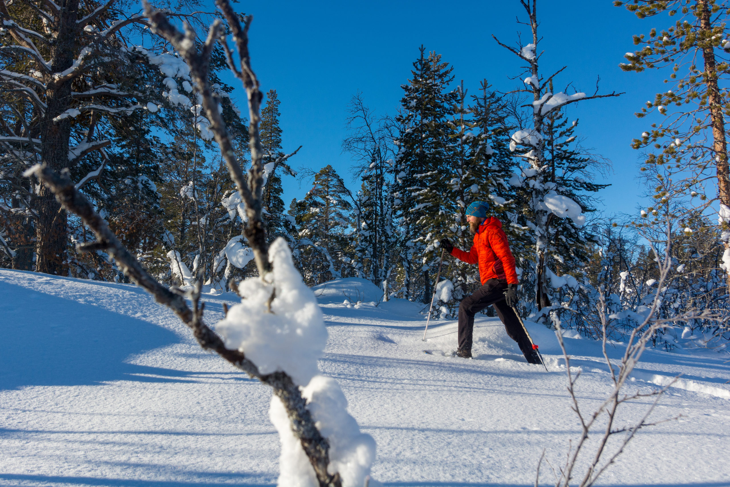 Johnsgård Turistsenter | Femund | Østerdalen