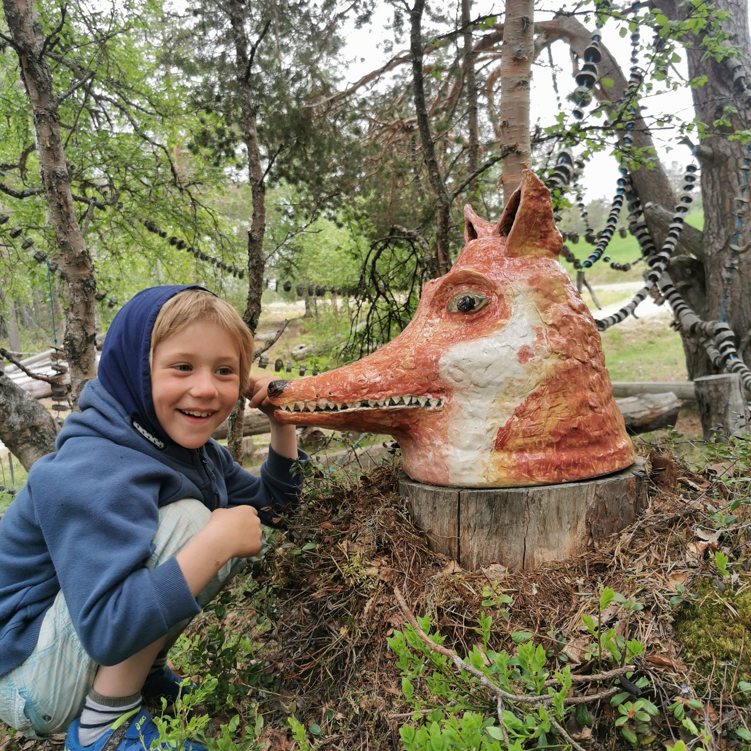 Trollskogen reven fantasi
