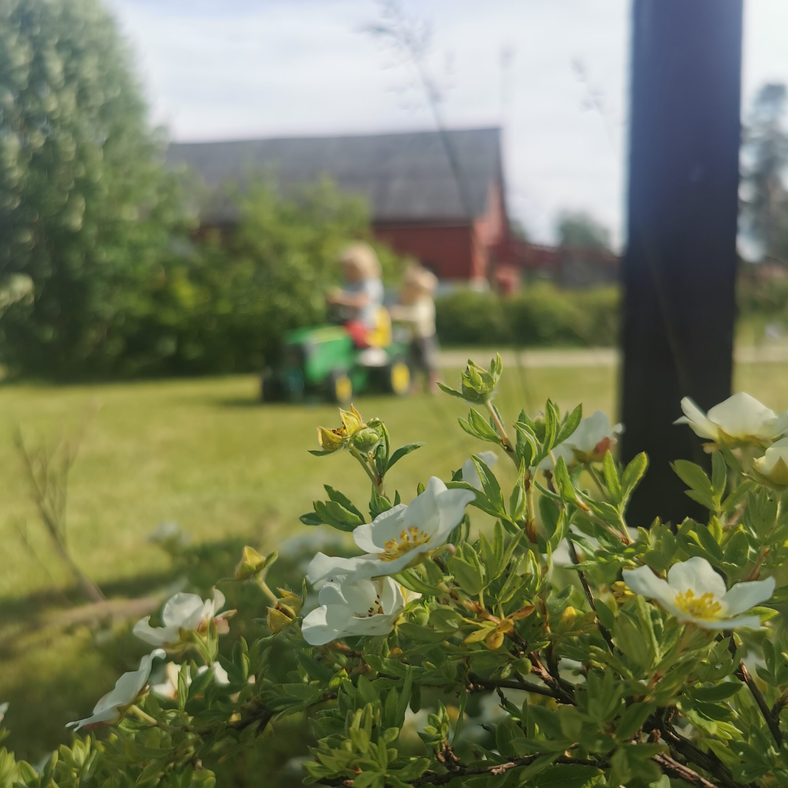 barn sommer bærekraft