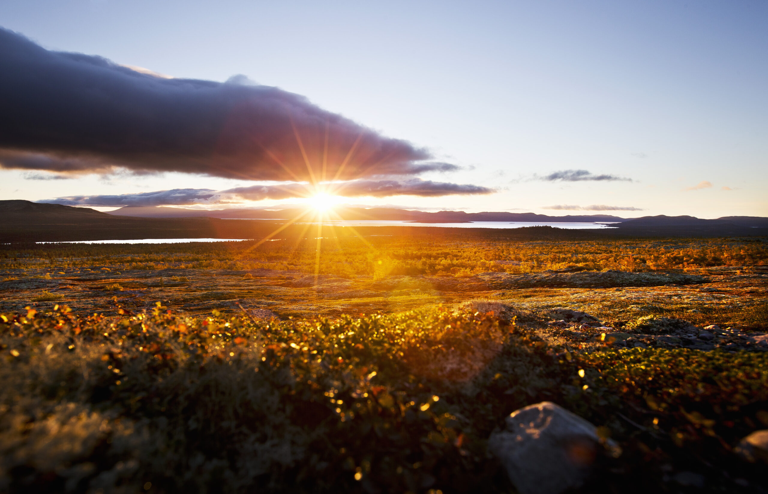 naturnær og enkel overnatting Femunden